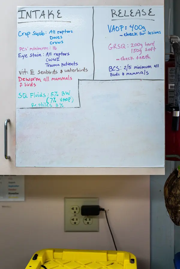 Pelican Harbor Seabird Station — Good Miami Project documentary photography