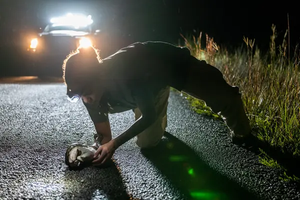 Swamp Apes — Good Miami Project documentary photography