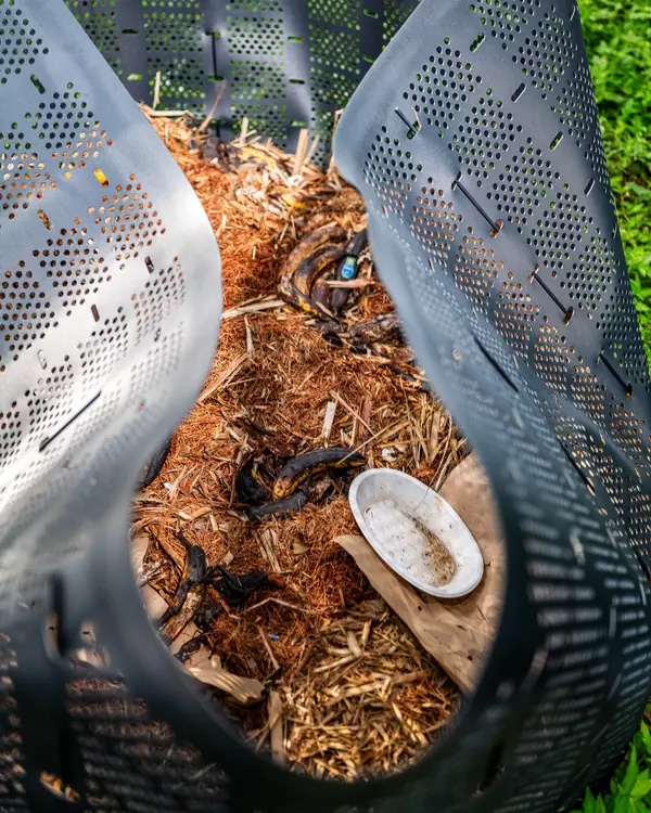 Compost 4 Life — Good Miami Project documentary photography