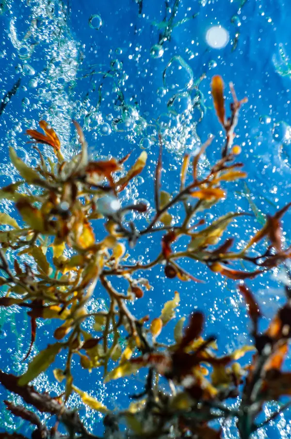 Miami Waterkeeper — Good Miami Project documentary photography