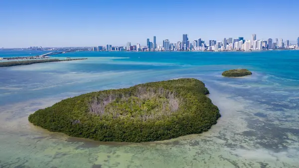 Miami Waterkeeper — Good Miami Project documentary photography
