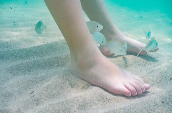 Miami Waterkeeper — Good Miami Project documentary photography
