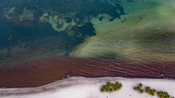 Miami Waterkeeper — Good Miami Project documentary photography