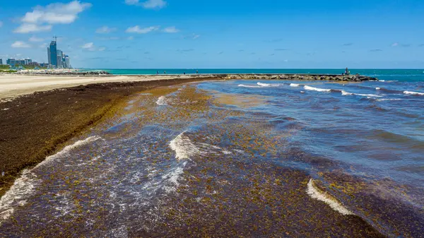 Miami Waterkeeper — Good Miami Project documentary photography