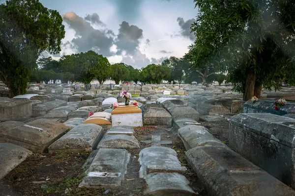 Dade Heritage Trust — Good Miami Project documentary photography