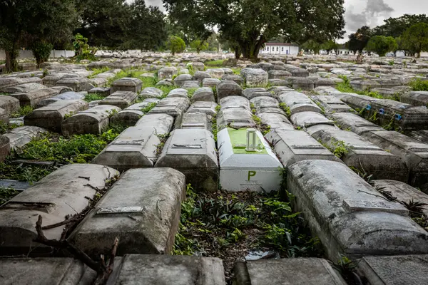 Dade Heritage Trust — Good Miami Project documentary photography