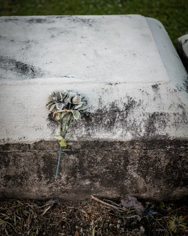 Dade Heritage Trust — Good Miami Project documentary photography