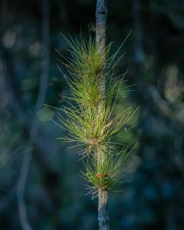 Everglades National Park — Good Miami Project documentary photography