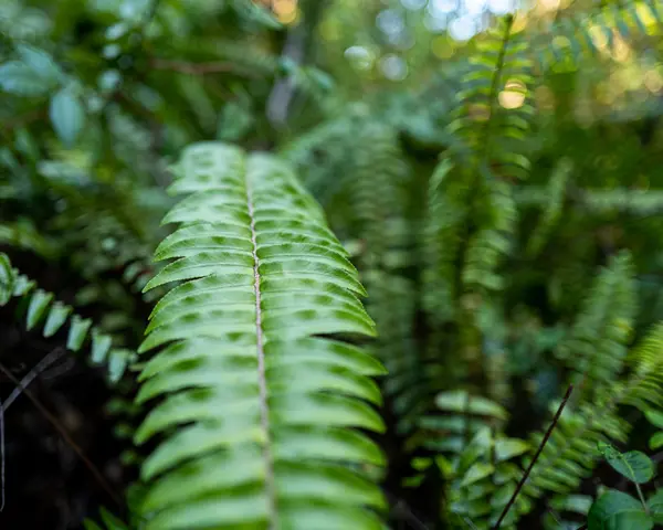 Everglades National Park — Good Miami Project documentary photography