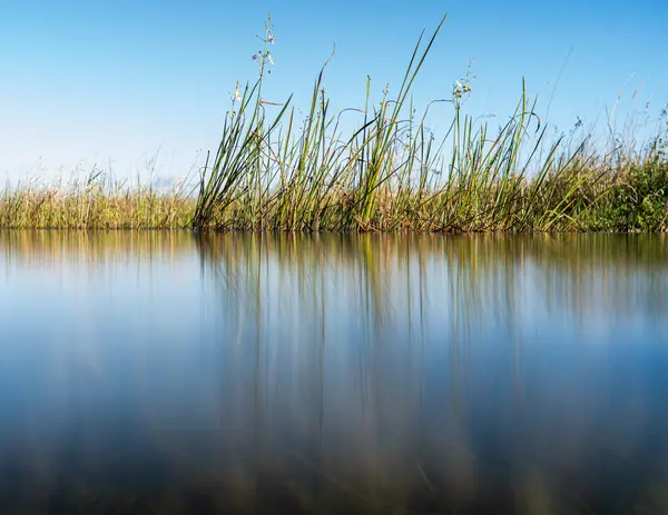 Everglades National Park — Good Miami Project documentary photography