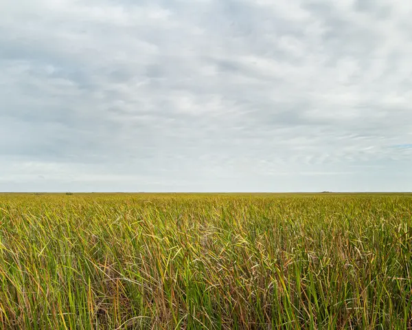 Everglades National Park — Good Miami Project documentary photography