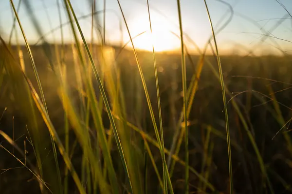 Everglades National Park — Good Miami Project documentary photography