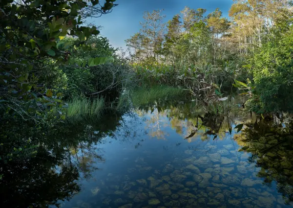 Everglades National Park — Good Miami Project documentary photography