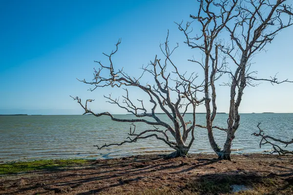 Everglades National Park — Good Miami Project documentary photography