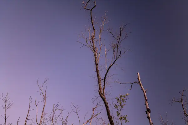 Everglades National Park — Good Miami Project documentary photography