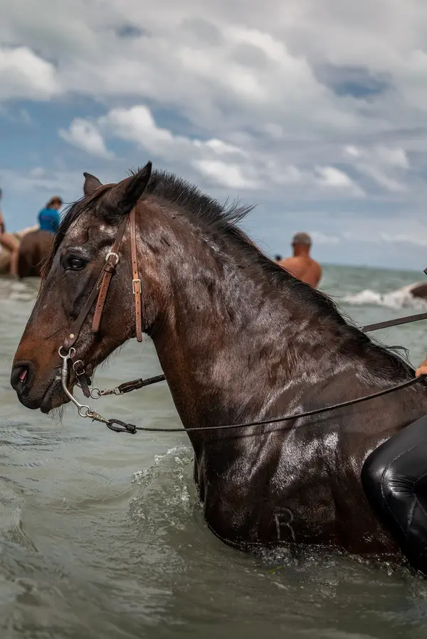 South Florida Trail Rider — Good Miami Project documentary photography