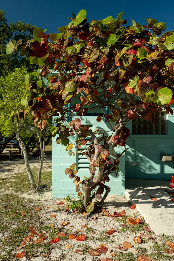 Historic Virginia Key Park Trust — Good Miami Project documentary photography