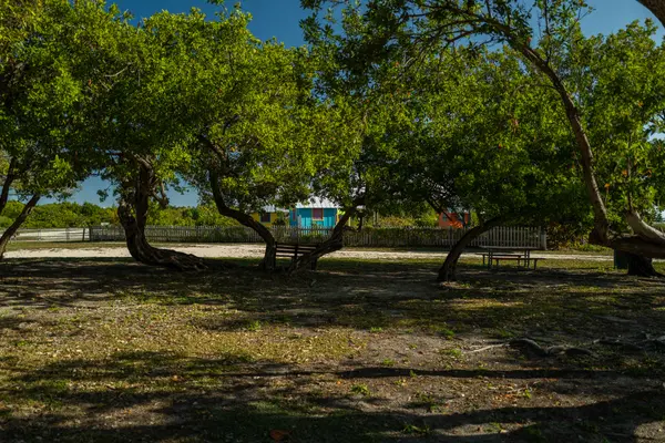 Historic Virginia Key Park Trust — Good Miami Project documentary photography