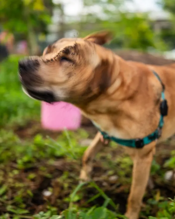 Compost 4 Life — Good Miami Project documentary photography