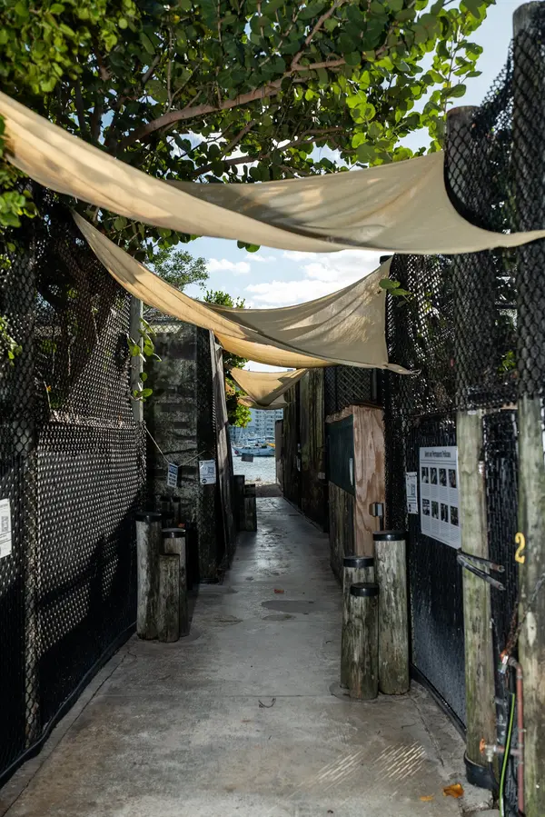 Pelican Harbor Seabird Station — Good Miami Project documentary photography