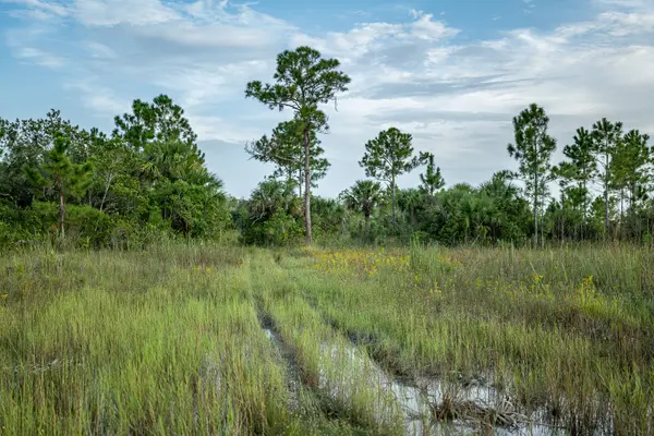 Love the Everglades — Good Miami Project documentary photography