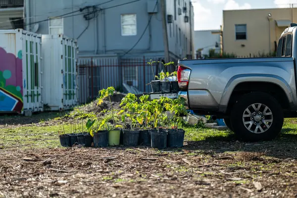 Green Haven Project — Good Miami Project documentary photography