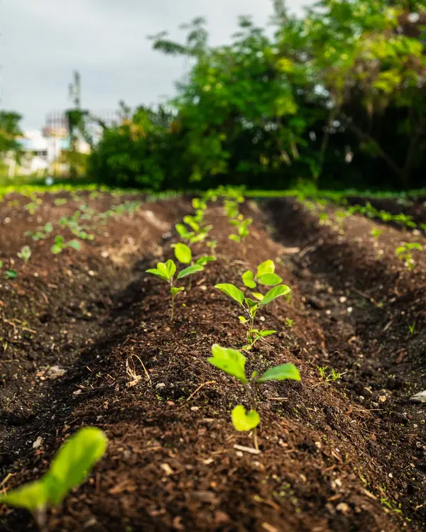 Compost 4 Life — Good Miami Project documentary photography