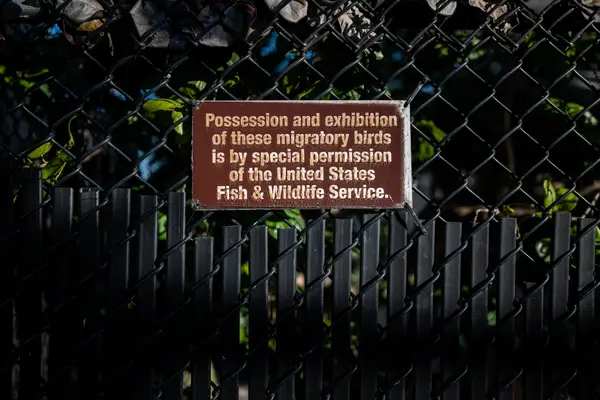 Pelican Harbor Seabird Station — Good Miami Project documentary photography