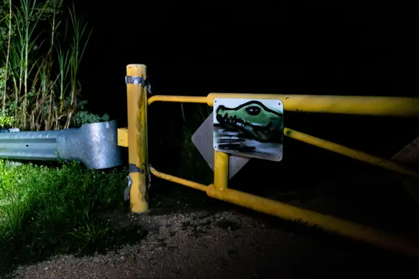 Swamp Apes — Good Miami Project documentary photography