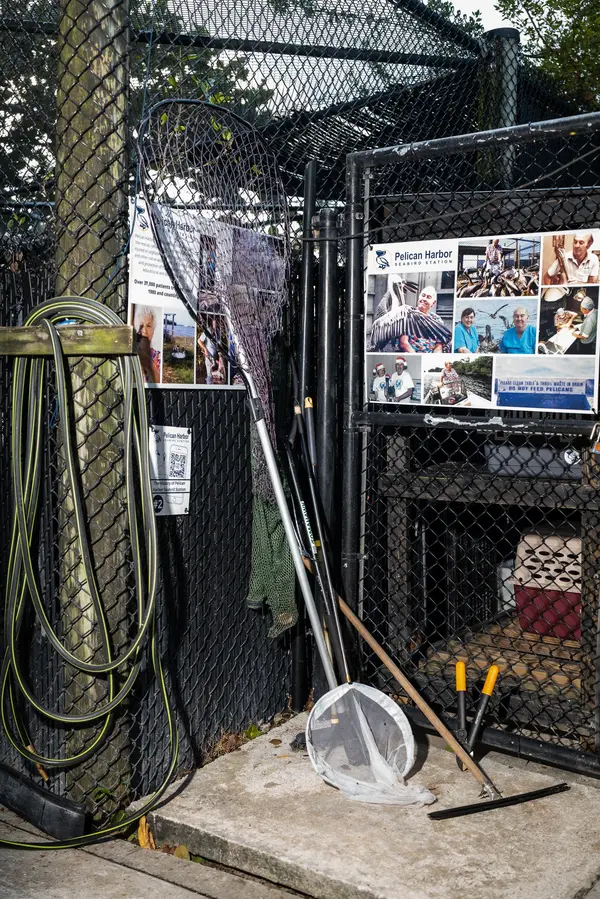 Pelican Harbor Seabird Station — Good Miami Project documentary photography
