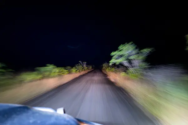 Swamp Apes — Good Miami Project documentary photography