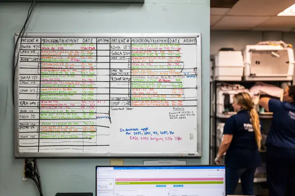 Pelican Harbor Seabird Station — Good Miami Project documentary photography