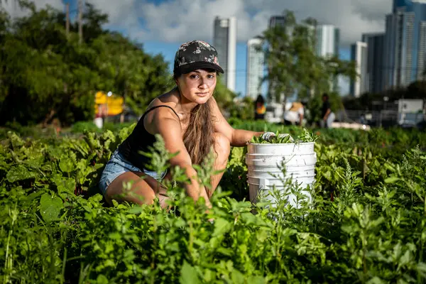 Green Haven Project — Good Miami Project documentary photography