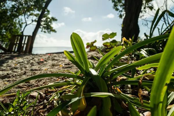 Historic Virginia Key Park Trust — Good Miami Project documentary photography
