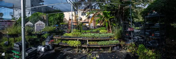 Compost 4 Life — Good Miami Project documentary photography
